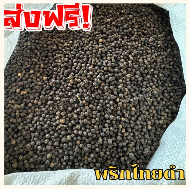 J ส่งฟรี!! พริกไทยเม็ดดำ 1กิโลกรัม พริกไทย พริกไทยดำ เครื่อง