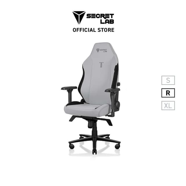 Secretlab TITAN Evo—รุ่นเบาะหนัง Hybrid NEO™️ สีเทา (Ash) เก