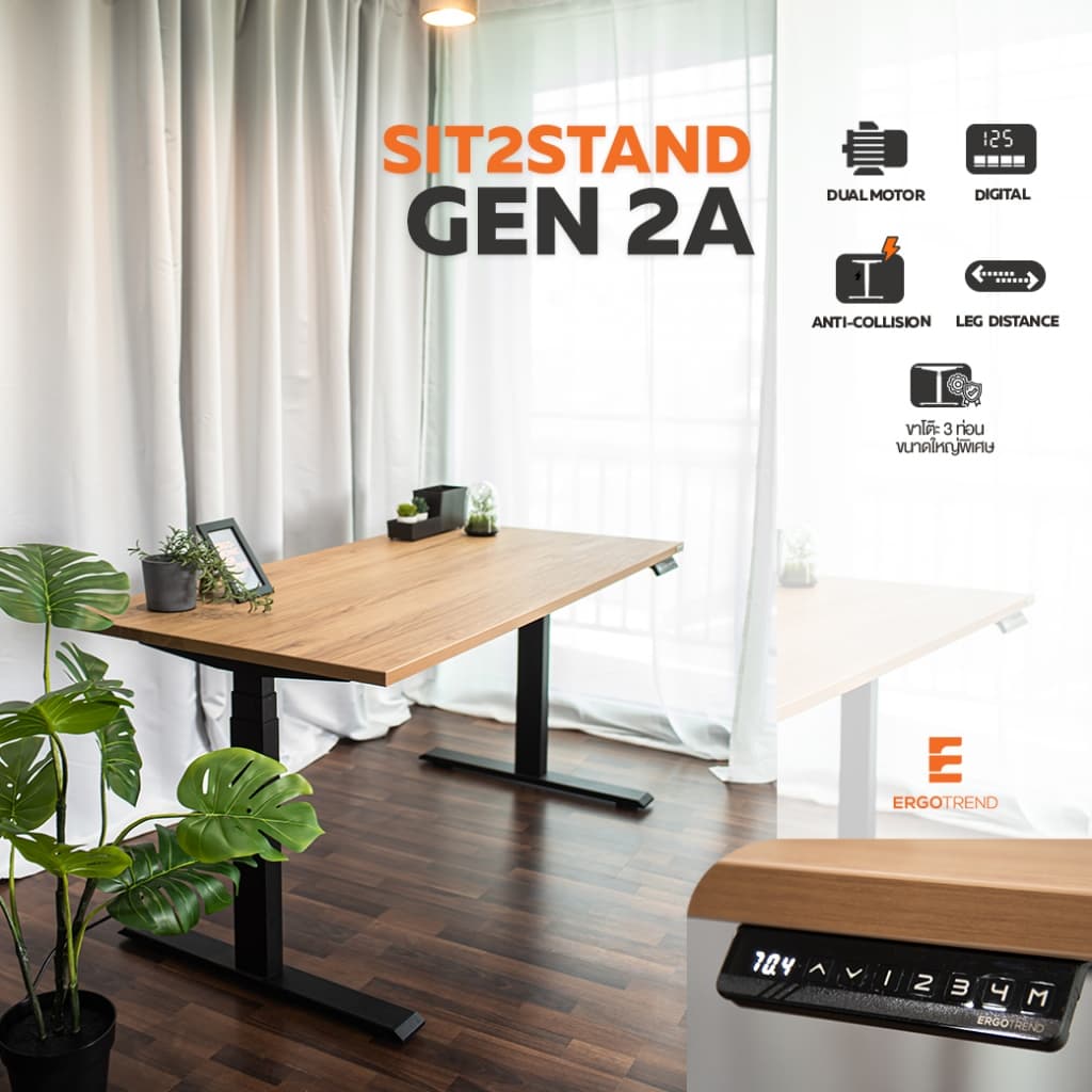 ErgoTrend (Pre-Order) โต๊ะปรับระดับไฟฟ้าเพื่อสุขภาพ Sit2Stand GEN2A ไม้ PB (Dual motor) https://lnwchill.com