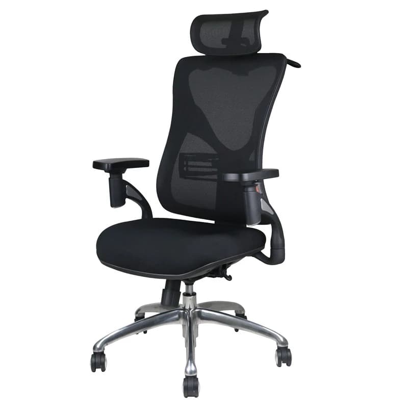 Ergotrend เก้าอี้เพื่อสุขภาพ เออร์โกเทรน รุ่น PORTSEA เก้าอี้สีดำ ระบายอากาศดีเยี่ยม นุ่มสบาย ตามหลักสรีระศาสตร์ Ergonomic เก้าอี้พนักพิงสูง ลดอาการปวดเมื่อย เกรดพรีเมี่ยม รองรับน้ำหนัก 125 kg. https://lnwchill.com