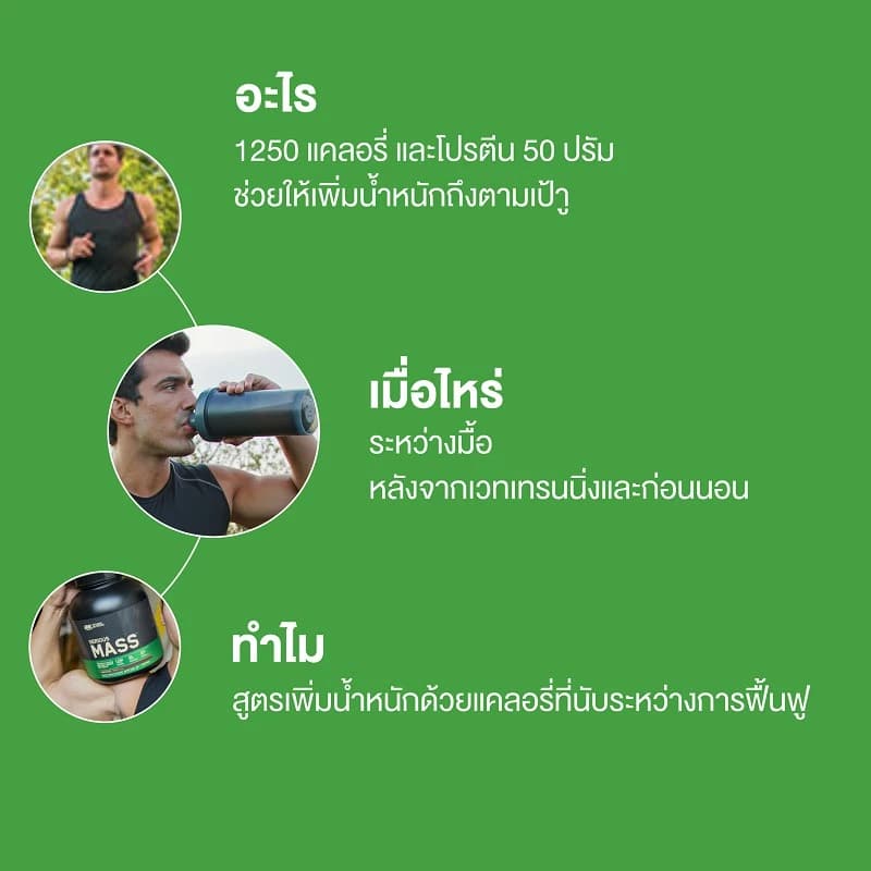 Optimum Nutrition Serious Mass Protein 6 Lbs https://lnwchill.com