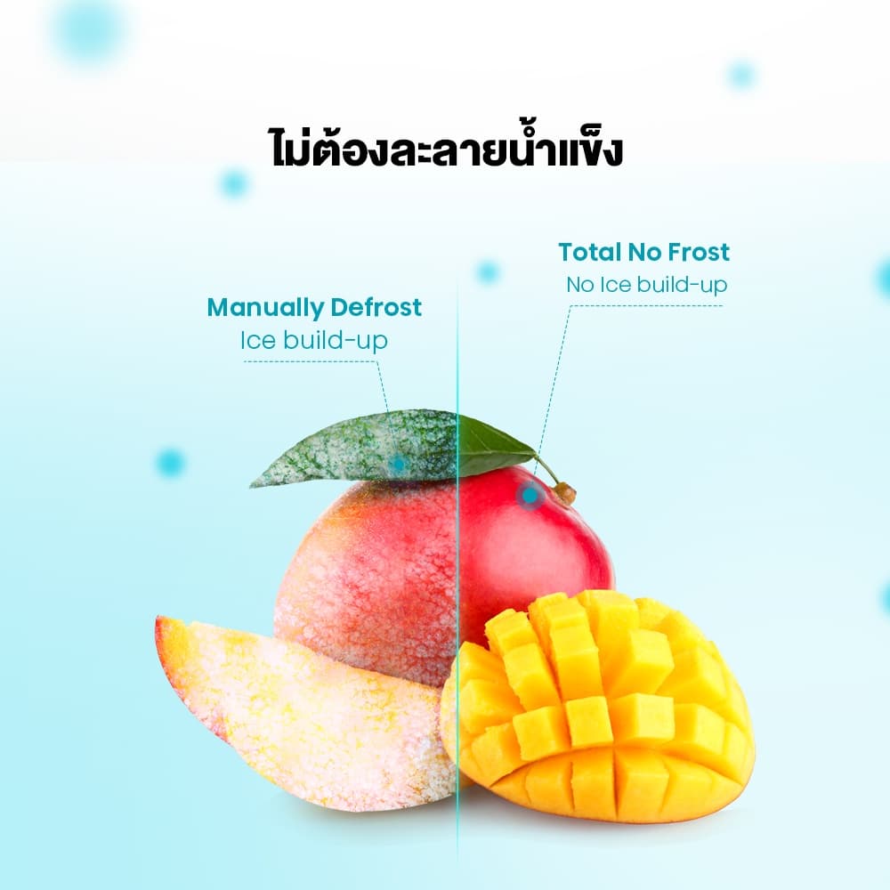 Hisense รุ่น RT266N4TGN ตู้เย็น 2 ประตู 7.5 คิว 212 ลิตร ระบบ Surround Cooling เย็นทั่วถึง พร้อมแผ่นกรองขจัดกลิ่น https://lnwchill.com