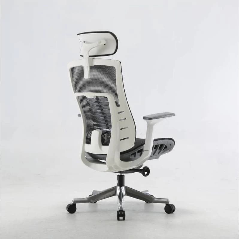 ChaSz Living เก้าอี้สุขภาพ Sihoo​ รุ่น m93​ เก้าอี้สุขภาพสำหรับคนตัวใหญ่ Ergonomic​ Chair​ สำหรับส่วนสูง 180 ซม.ขึ้นไป เก้าอี้ทำงานเพื่อสุขภาพ Ergonomic ระบายอากาศดีเยี่ยม https://lnwchill.com