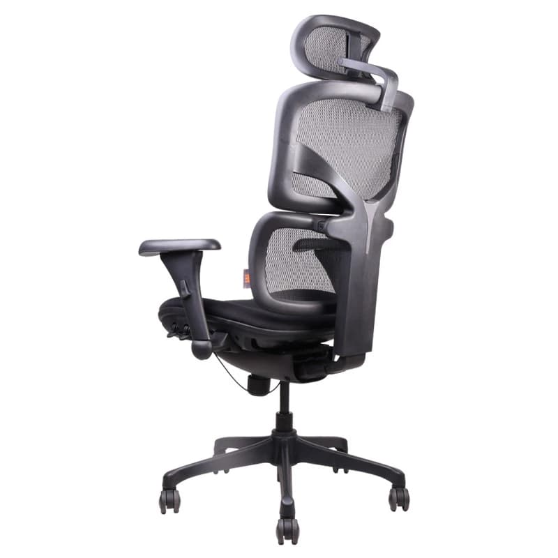 Ergotrend เก้าอี้เพื่อสุขภาพ เออร์โกเทรน รุ่น DOOM-01BMF เก้าอี้สีดำ ระบายอากาศดีเยี่ยม นุ่มสบาย ตามหลักสรีระศาสตร์ Ergonomic เก้าอี้พนักพิงสูง ลดอาการปวดเมื่อย เกรดคุณภาพ https://lnwchill.com