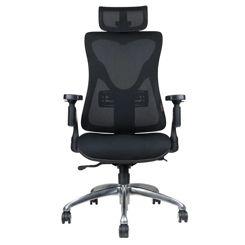 Ergotrend เก้าอี้เพื่อสุขภาพ เออร์โกเทรน รุ่น PORTSEA เก้าอี้สีดำ ระบายอากาศดีเยี่ยม นุ่มสบาย ตามหลักสรีระศาสตร์ Ergonomic เก้าอี้พนักพิงสูง ลดอาการปวดเมื่อย เกรดพรีเมี่ยม รองรับน้ำหนัก 125 kg. https://lnwchill.com