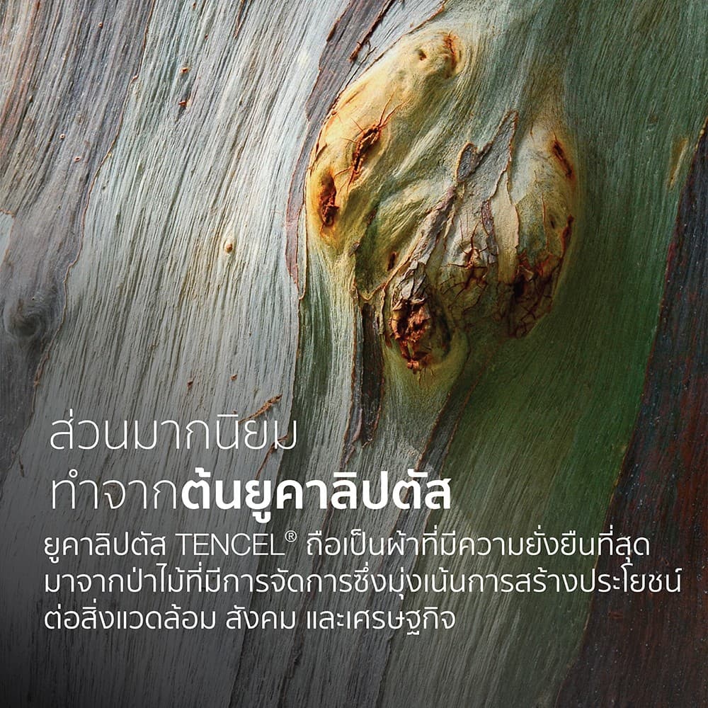 Omazz รุ่น Eden 02 ผ้าปูที่นอน Tencel Jacquard ขนาด 6 ฟุต มอบสัมผัสการพักผ่อนระดับพรีเมียมที่นุ่มลื่นและเย็นสบายด้วยนวัตกรรมเส้นใยธรรมชาติ 100% https://lnwchill.com