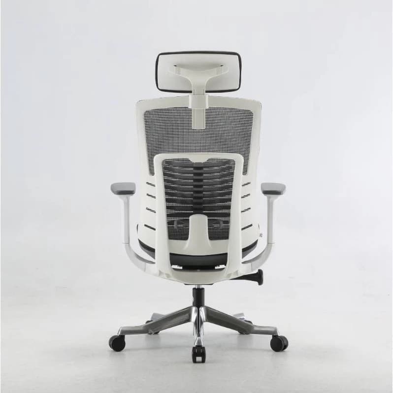 ChaSz Living เก้าอี้สุขภาพ Sihoo​ รุ่น m93​ เก้าอี้สุขภาพสำหรับคนตัวใหญ่ Ergonomic​ Chair​ สำหรับส่วนสูง 180 ซม.ขึ้นไป เก้าอี้ทำงานเพื่อสุขภาพ Ergonomic ระบายอากาศดีเยี่ยม https://lnwchill.com