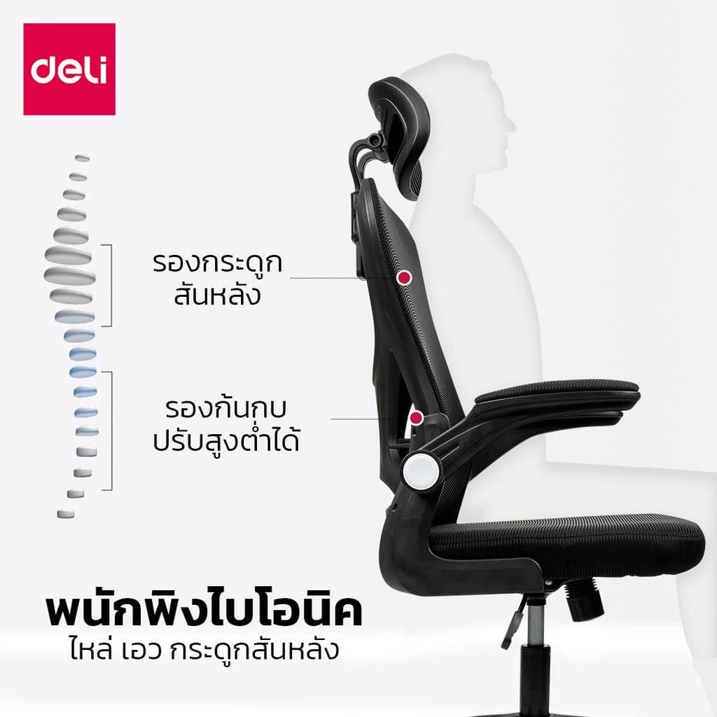 Deli เก้าอี้ทำงาน เก้าอี้ทำงานเพื่อสุขภาพ Ergonomic เก้าอี้สีดำ เก้าอี้สีขาว เก้าอี้สีเทา เก้าอี้สำนักงาน พยุงเอวปรับได้ พนักพิงศีรษะ2D ที่นั่งทำงาน Office Chair ระบายอากาศดีเยี่ยม https://lnwchill.com