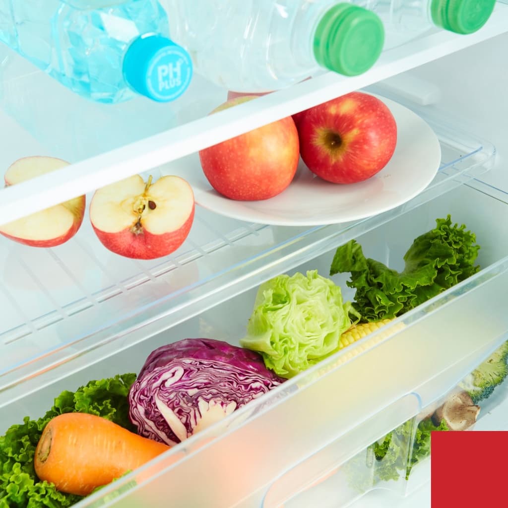 TOSHIBA Curve GR-D145 ตู้เย็น 1 ประตู 5.2 คิว ดีไซน์โค้งมน ชั้นวางกระจกนิรภัย เย็นจัดจุใจ ดีไซน์สวยหรู การันตีรางวัลยอดเยี่ยม https://lnwchill.com