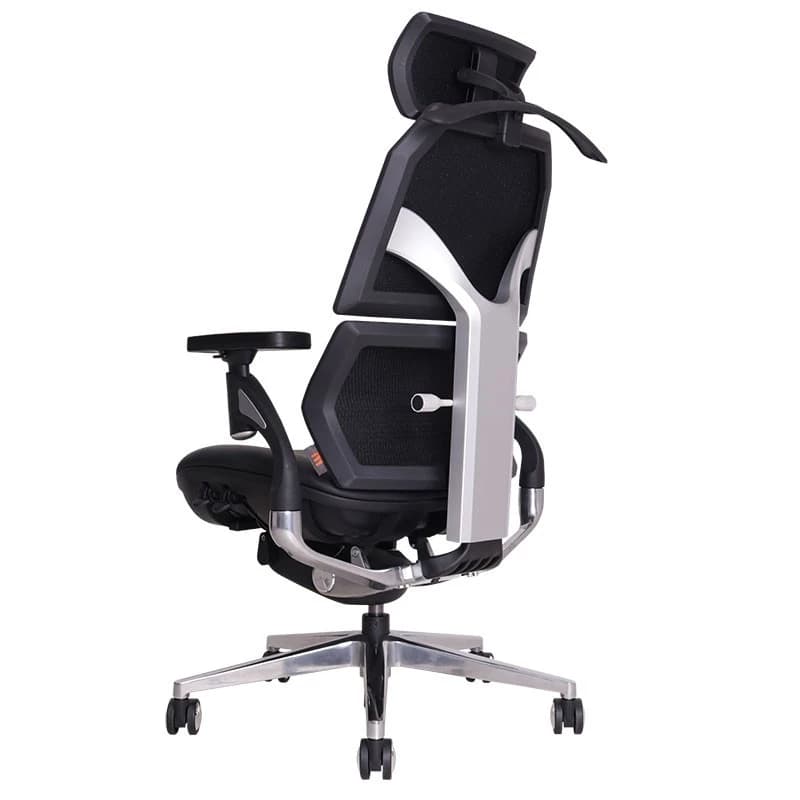 Ergotrend เก้าอี้เพื่อสุขภาพ เออร์โกเทรน รุ่น Ultimate Malmo เก้าอี้สีดำ ระบายอากาศดีเยี่ยม นุ่มสบาย ตามหลักสรีระศาสตร์ Ergonomic เก้าอี้พนักพิงสูง ลดอาการปวดเมื่อย เกรดคุณภาพ https://lnwchill.com