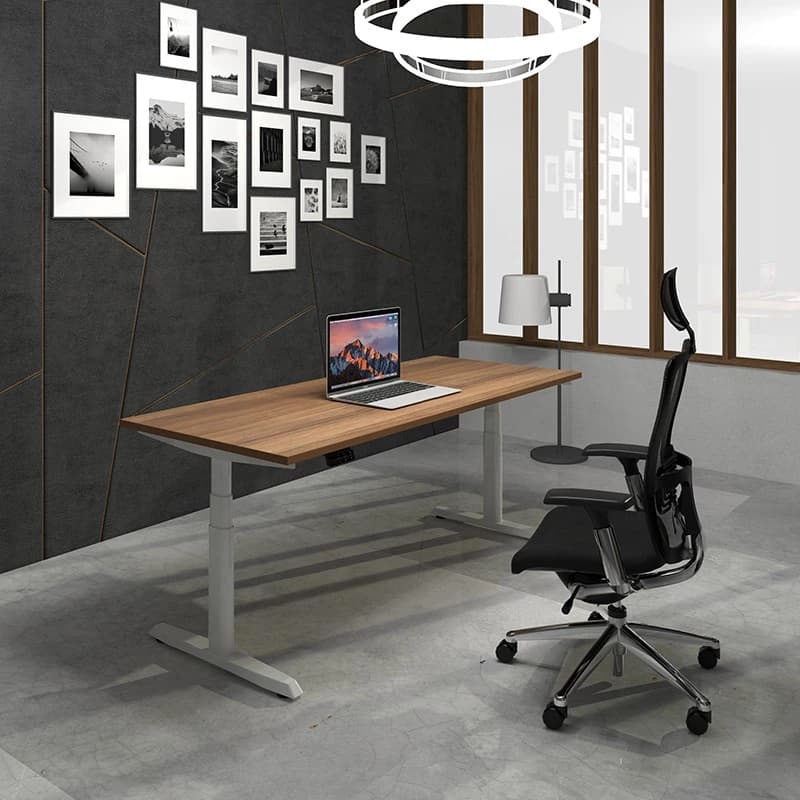 ErgoTrend (Pre-Order) โต๊ะปรับระดับไฟฟ้าเพื่อสุขภาพ Sit2Stand GEN5 ไม้PB (Premium dual motor) https://lnwchill.com