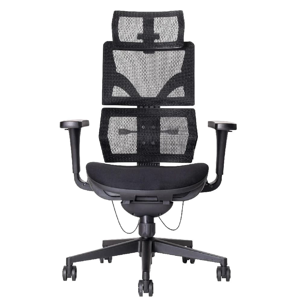 Ergotrend เก้าอี้เพื่อสุขภาพเออร์โกเทรน รุ่น Malmo Light เก้าอี้สีดำ ระบายอากาศดีเยี่ยม นุ่มสบาย ตามหลักสรีระศาสตร์ Ergonomic เก้าอี้พนักพิงสูง ลดอาการปวดเมื่อย เกรดคุณภาพ https://lnwchill.com