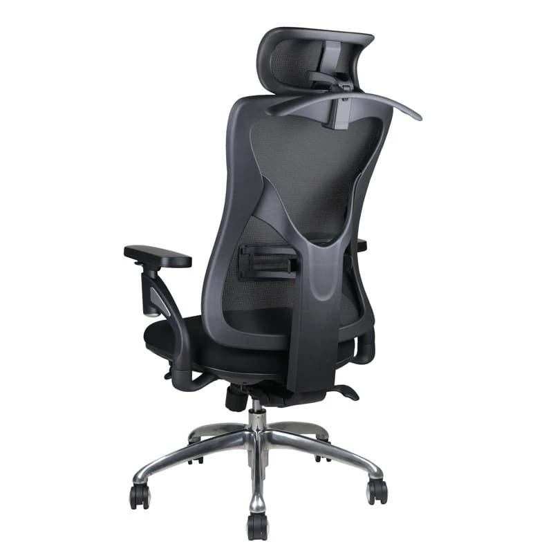 Ergotrend เก้าอี้เพื่อสุขภาพ เออร์โกเทรน รุ่น PORTSEA เก้าอี้สีดำ ระบายอากาศดีเยี่ยม นุ่มสบาย ตามหลักสรีระศาสตร์ Ergonomic เก้าอี้พนักพิงสูง ลดอาการปวดเมื่อย เกรดพรีเมี่ยม รองรับน้ำหนัก 125 kg. https://lnwchill.com