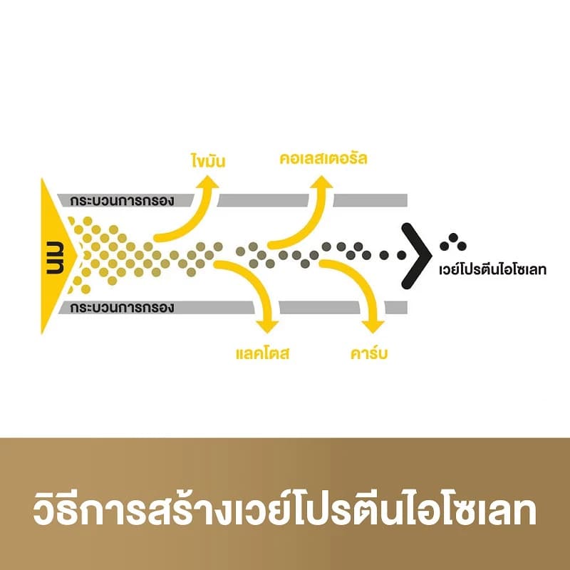 Optimum Nutrition Gold Standard Isolate Whey Protein 5.2 Lb เวย์โปรตีนแบบไอโซเลท เวย์ไอโซเลท [ส่งฟรี!!] https://lnwchill.com