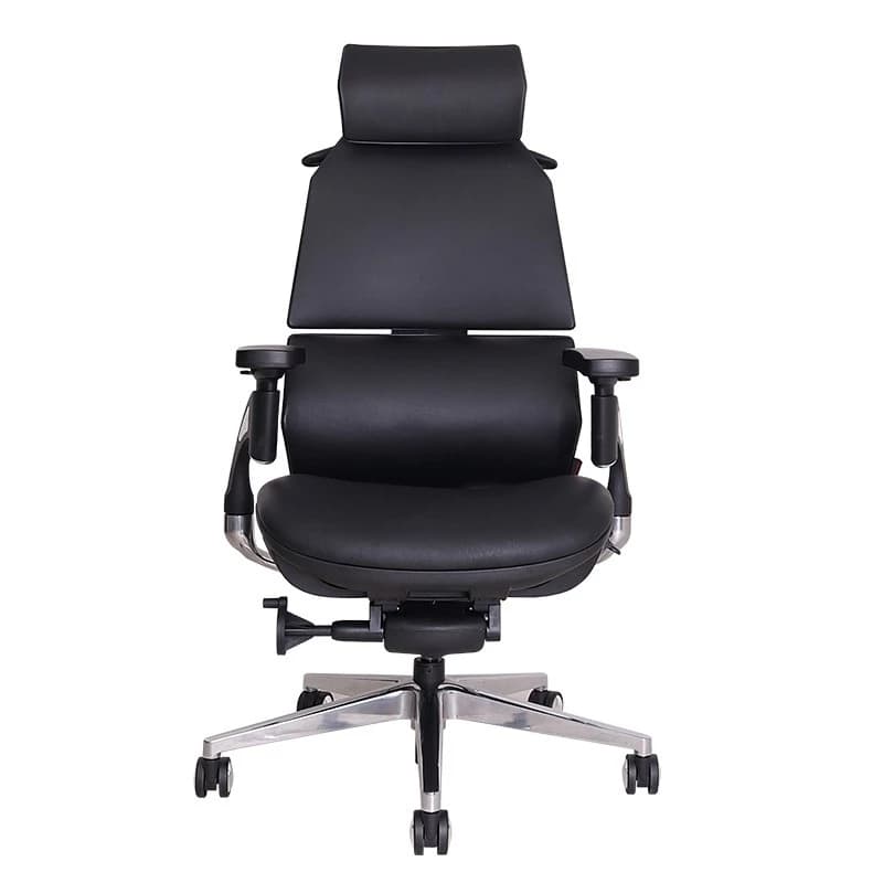 Ergotrend เก้าอี้เพื่อสุขภาพ เออร์โกเทรน รุ่น Ultimate Malmo เก้าอี้สีดำ ระบายอากาศดีเยี่ยม นุ่มสบาย ตามหลักสรีระศาสตร์ Ergonomic เก้าอี้พนักพิงสูง ลดอาการปวดเมื่อย เกรดคุณภาพ https://lnwchill.com