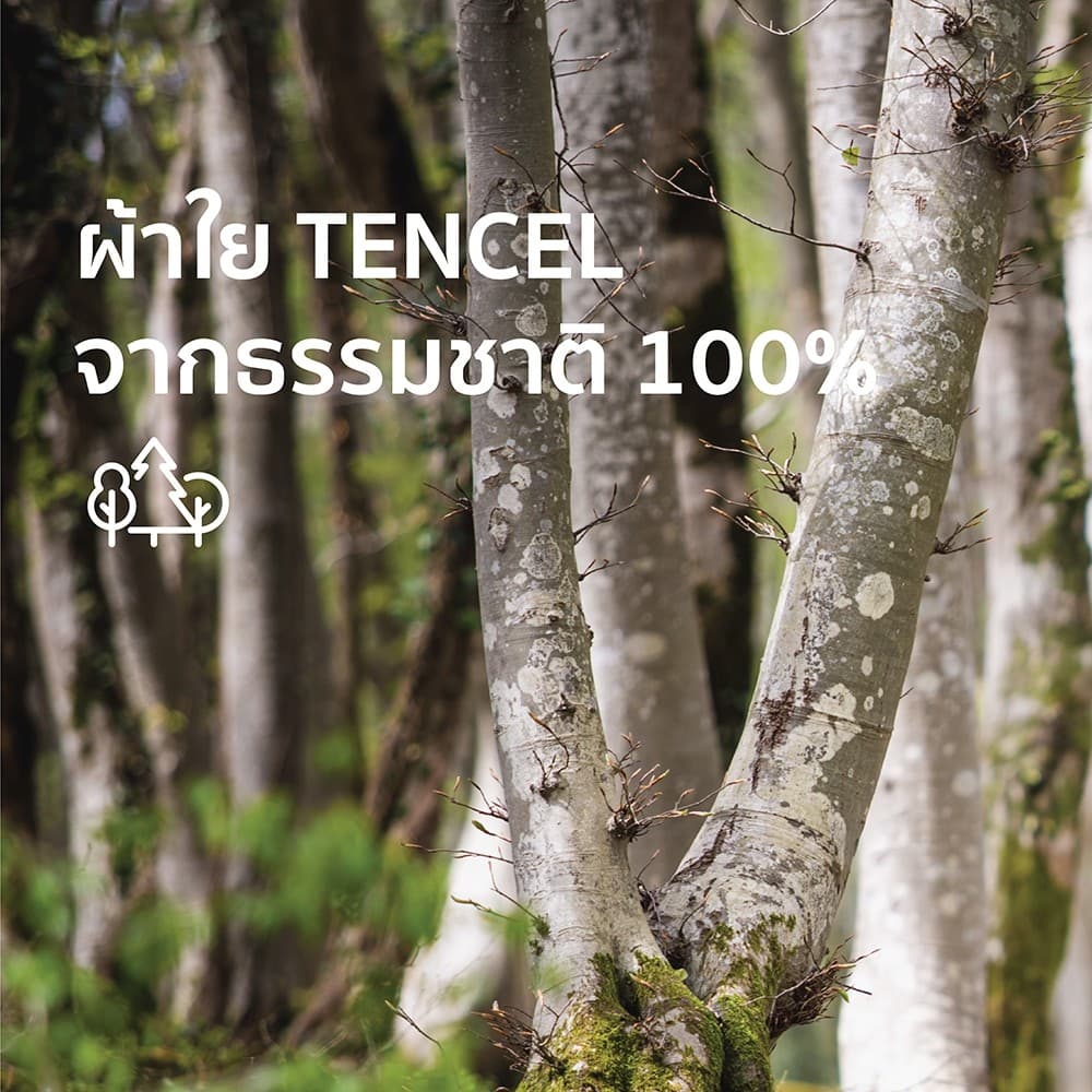 Omazz รุ่น TENCEL PRINT NAGANO 01 ผ้าปูที่นอน 5 ฟุต ผลิตจากเส้นใย Tencel™ ธรรมชาติ 100% มอบสัมผัสที่นุ่มลื่นดุจใยไหมและเย็นสบายอย่างเหนือระดับ เพื่อการพักผ่อนที่ดีที่สุดของคุณ https://lnwchill.com