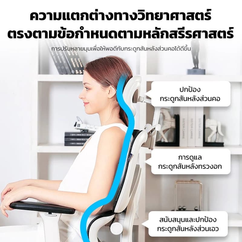 MUSSO รุ่น E600 เก้าอี้สีดำ เก้าอี้สีเทา เก้าอี้สำนักงานตามหลักสรีรศาสตร์ ที่วางแขน 3D พนักพิงศีรษะปรับได้พร้อมสนับสนุนเอวปรับได้เก้าอี้สำนักงานตามหลักสรี https://lnwchill.com