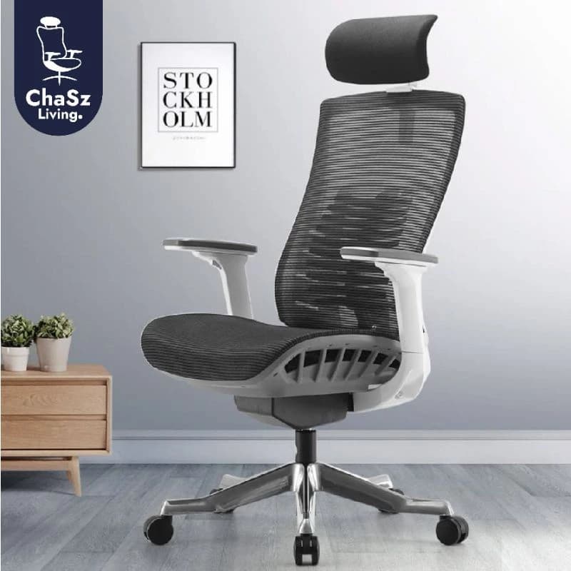 ChaSz Living เก้าอี้สุขภาพ Sihoo​ รุ่น m93​ เก้าอี้สุขภาพสำหรับคนตัวใหญ่ Ergonomic​ Chair​ สำหรับส่วนสูง 180 ซม.ขึ้นไป เก้าอี้ทำงานเพื่อสุขภาพ Ergonomic ระบายอากาศดีเยี่ยม https://lnwchill.com