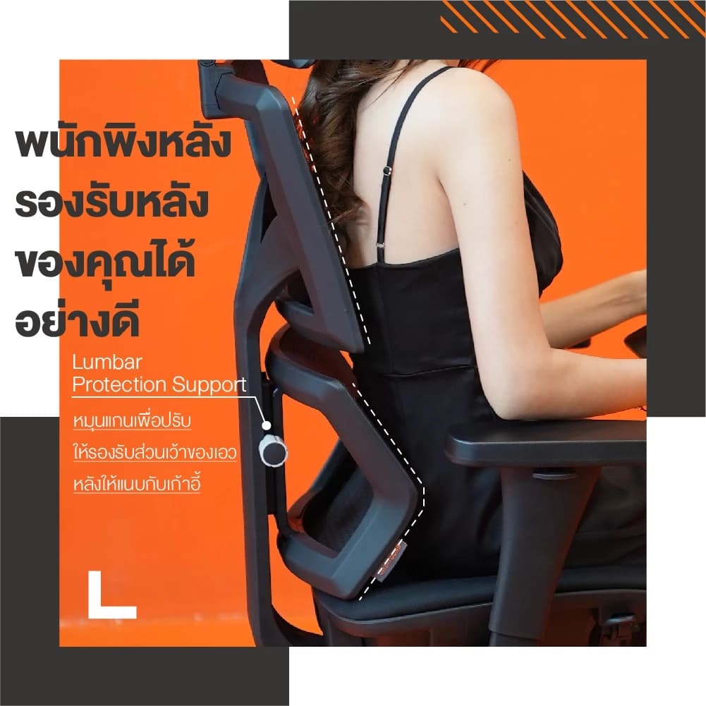 Ergotrend เก้าอี้เพื่อสุขภาพเออร์โกเทรน รุ่น Malmo Light เก้าอี้สีดำ ระบายอากาศดีเยี่ยม นุ่มสบาย ตามหลักสรีระศาสตร์ Ergonomic เก้าอี้พนักพิงสูง ลดอาการปวดเมื่อย เกรดคุณภาพ https://lnwchill.com