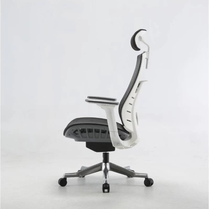 ChaSz Living เก้าอี้สุขภาพ Sihoo​ รุ่น m93​ เก้าอี้สุขภาพสำหรับคนตัวใหญ่ Ergonomic​ Chair​ สำหรับส่วนสูง 180 ซม.ขึ้นไป เก้าอี้ทำงานเพื่อสุขภาพ Ergonomic ระบายอากาศดีเยี่ยม https://lnwchill.com