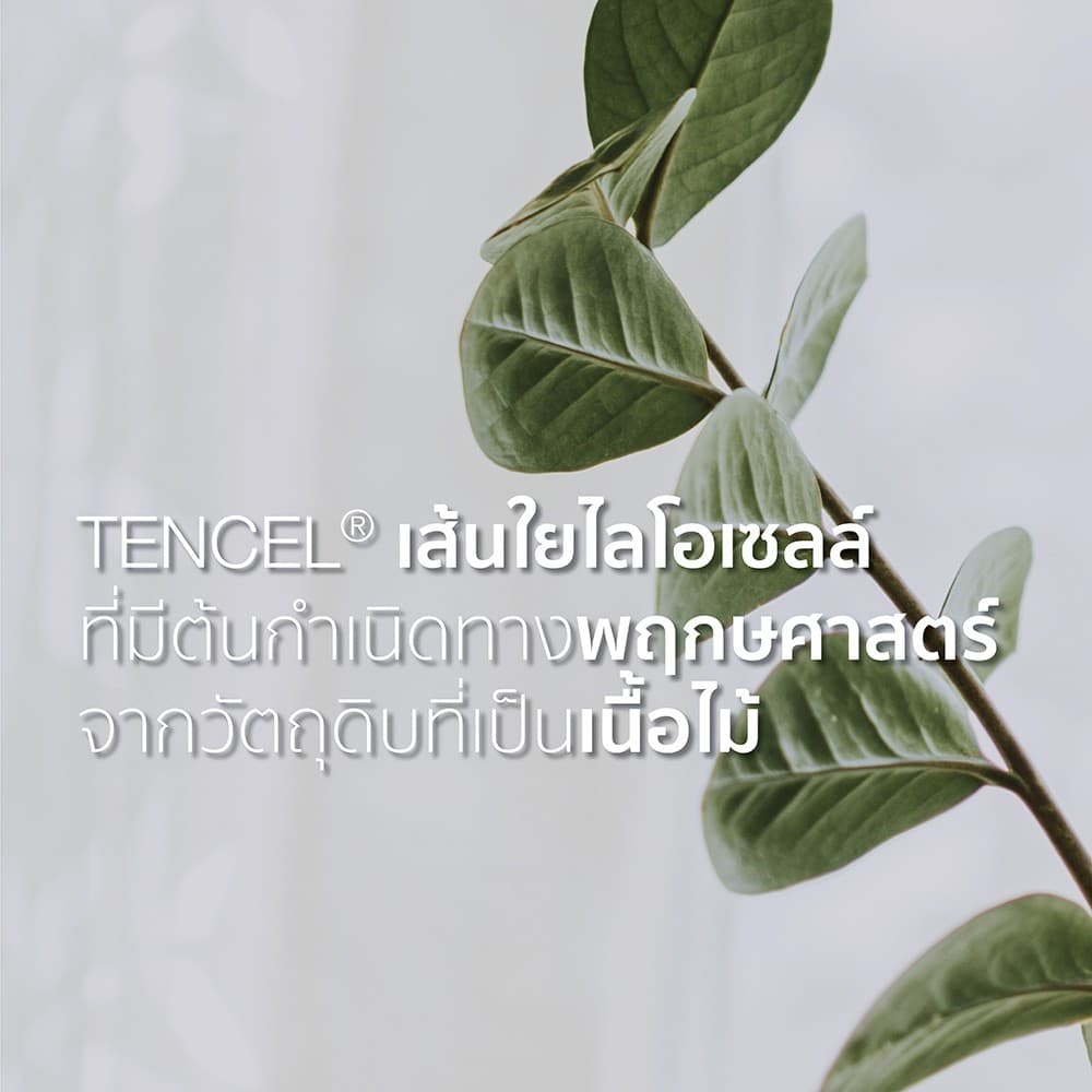 Omazz รุ่น Eden 02 ผ้าปูที่นอน Tencel Jacquard ขนาด 6 ฟุต มอบสัมผัสการพักผ่อนระดับพรีเมียมที่นุ่มลื่นและเย็นสบายด้วยนวัตกรรมเส้นใยธรรมชาติ 100% https://lnwchill.com