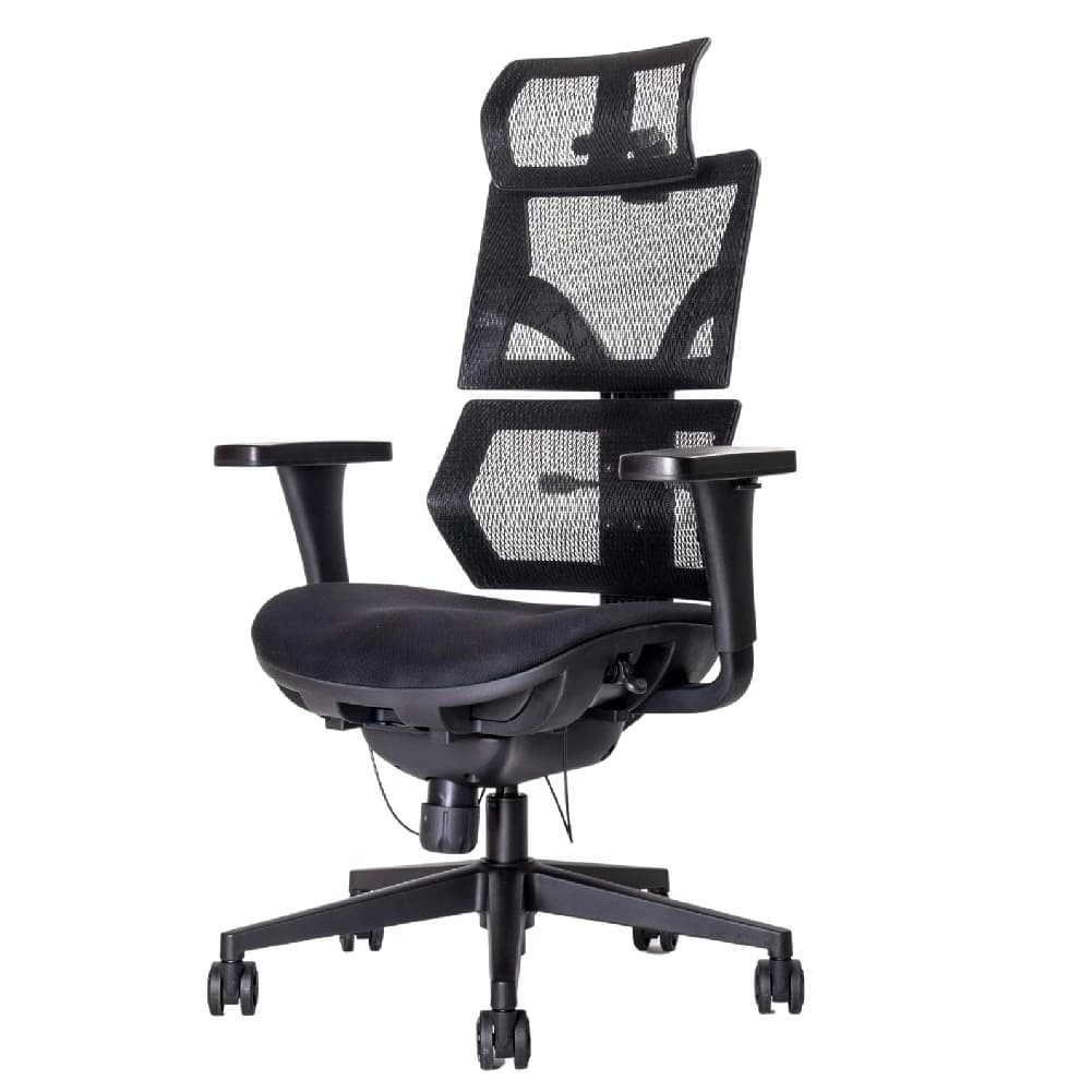 Ergotrend เก้าอี้เพื่อสุขภาพเออร์โกเทรน รุ่น Malmo Light เก้าอี้สีดำ ระบายอากาศดีเยี่ยม นุ่มสบาย ตามหลักสรีระศาสตร์ Ergonomic เก้าอี้พนักพิงสูง ลดอาการปวดเมื่อย เกรดคุณภาพ https://lnwchill.com