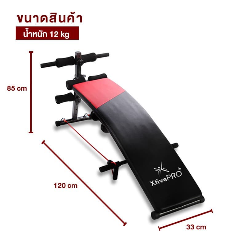 XtivePRO เบาะซิทอัพ เครื่องออกกำลังกายหน้าท้อง แถมฟรี สายแรงต้าน 2 เส้น + ดัมเบล 2 ลูก Curved Sit-Up Bench https://lnwchill.com