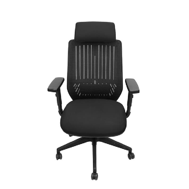 FURRADEC รุ่น Flex เก้าอี้สุขภาพ Ergonomic สีดำ พนักพิงผ้าตาข่าย Elastic Mesh ปรับระดับพนักพิงศีรษะและแขนได้ รองรับน้ำหนัก 113 กก ออกแบบมาเพื่อการทำงานยาวนาน https://lnwchill.com