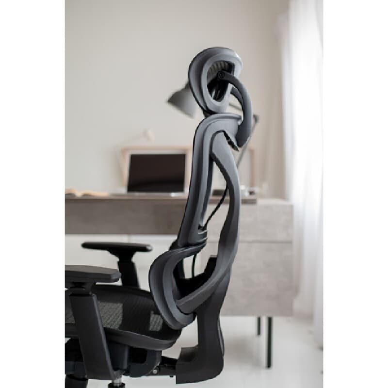 FURRADEC รุ่น Celine เก้าอี้เพื่อสุขภาพ สีดำ ขนาด 70x74x126 ซม พนักพิงตาข่ายระบายอากาศ ปรับเอนได้ 135 องศา รองรับสรีระนั่งทำงานนาน 8 ชั่วโมง https://lnwchill.com