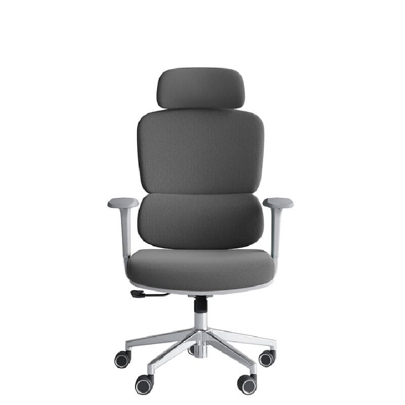 FURRADEC รุ่น Harmony เก้าอี้เพื่อสุขภาพสีเทา พนักพิงตาข่ายระบายอากาศ ปรับระดับ 3D รองรับสรีระลดปวดเมื่อย นั่งสบาย 6-8 ชม เสริมประสิทธิภาพการทำงาน https://lnwchill.com