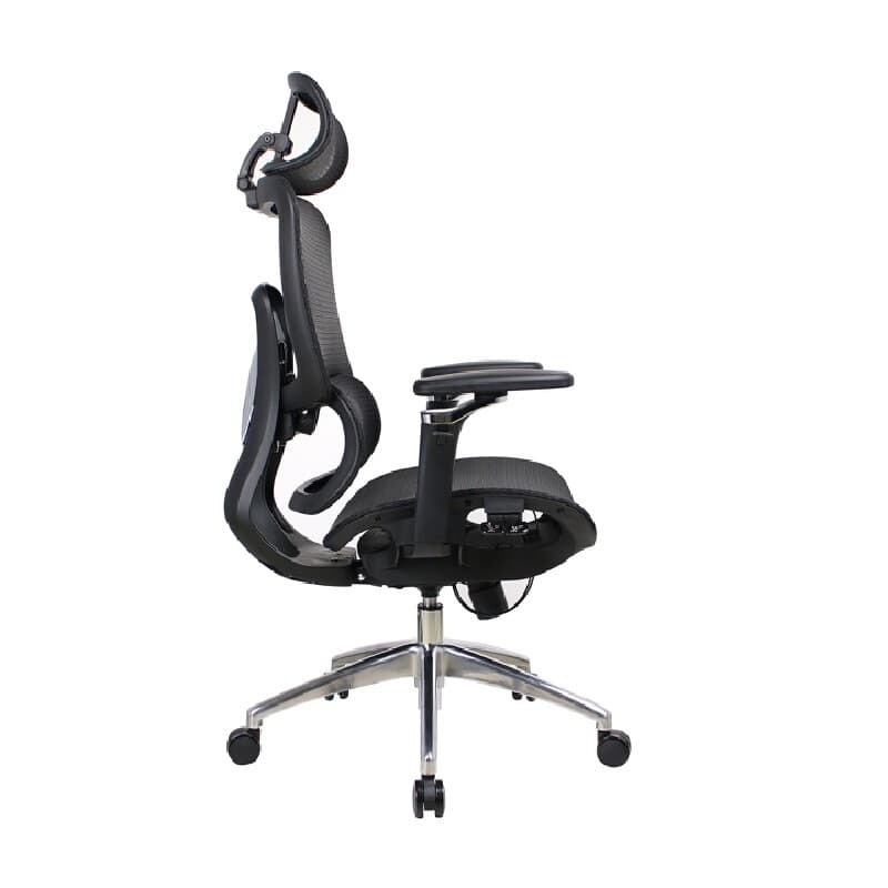 FURRADEC รุ่น Cezar เก้าอี้เพื่อสุขภาพ สีดำ ปรับระดับแขน 5D พนักพิงระบายอากาศ Mesh รองรับสรีระ 150 กก. เพื่อการทำงานที่มีประสิทธิภาพและสุขภาพหลังที่ดีกว่า https://lnwchill.com