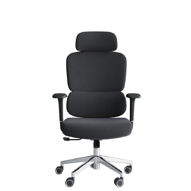 FURRADEC รุ่น Harmony เก้าอี้เพื่อสุขภาพสีดำ พนักพิงผ้าตาข่ายระบายอากาศ ปรับเอนอัตโนมัติ 125 องศา รองรับสรีระลดอาการปวดหลังขณะนั่งทำงานนาน 6-8 ชั่วโมง https://lnwchill.com