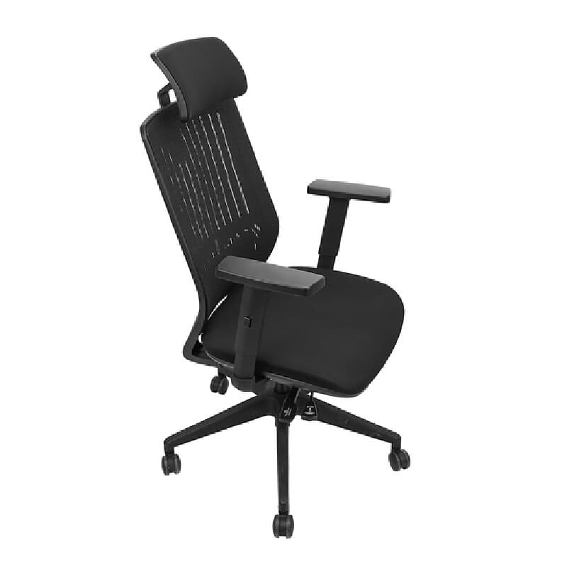 FURRADEC รุ่น Flex เก้าอี้สุขภาพ Ergonomic สีดำ พนักพิงผ้าตาข่าย Elastic Mesh ปรับระดับพนักพิงศีรษะและแขนได้ รองรับน้ำหนัก 113 กก ออกแบบมาเพื่อการทำงานยาวนาน https://lnwchill.com