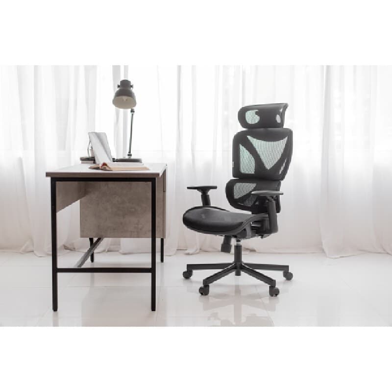 FURRADEC รุ่น Celine เก้าอี้เพื่อสุขภาพ สีดำ ขนาด 70x74x126 ซม พนักพิงตาข่ายระบายอากาศ ปรับเอนได้ 135 องศา รองรับสรีระนั่งทำงานนาน 8 ชั่วโมง https://lnwchill.com