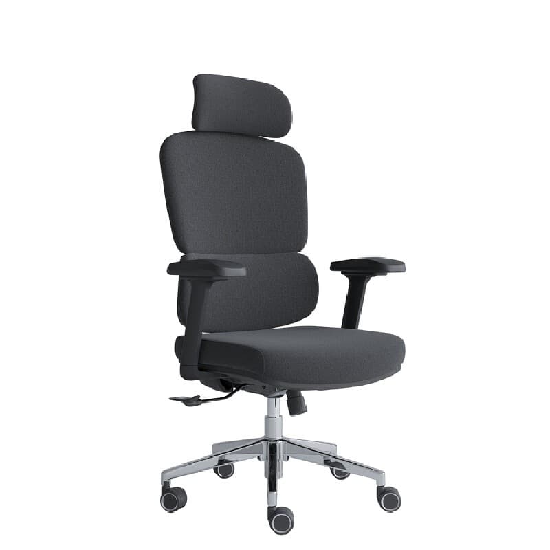 FURRADEC รุ่น Harmony เก้าอี้เพื่อสุขภาพสีดำ พนักพิงผ้าตาข่ายระบายอากาศ ปรับเอนอัตโนมัติ 125 องศา รองรับสรีระลดอาการปวดหลังขณะนั่งทำงานนาน 6-8 ชั่วโมง https://lnwchill.com