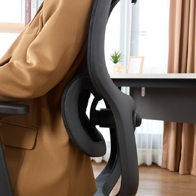 FURRADEC รุ่น Rise เก้าอี้เพื่อสุขภาพสีดำ ปรับเอน 135 องศา รองรับสรีระแบบ Spring Lumbar Support นั่งสบายลดปวดหลัง ประกัน 3 ปี https://lnwchill.com