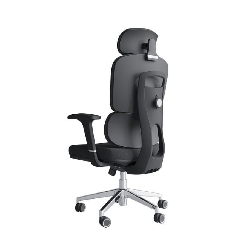 FURRADEC รุ่น Harmony เก้าอี้เพื่อสุขภาพสีดำ พนักพิงผ้าตาข่ายระบายอากาศ ปรับเอนอัตโนมัติ 125 องศา รองรับสรีระลดอาการปวดหลังขณะนั่งทำงานนาน 6-8 ชั่วโมง https://lnwchill.com