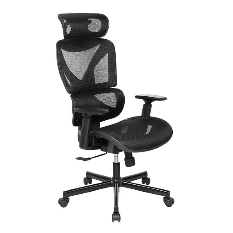 FURRADEC รุ่น Celine เก้าอี้เพื่อสุขภาพ สีดำ ขนาด 70x74x126 ซม พนักพิงตาข่ายระบายอากาศ ปรับเอนได้ 135 องศา รองรับสรีระนั่งทำงานนาน 8 ชั่วโมง https://lnwchill.com