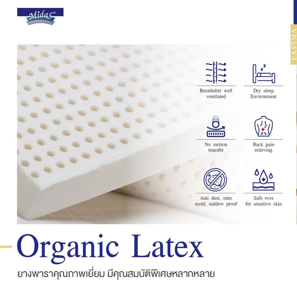 Midas รุ่น Eastma 3000 ที่นอนยางพาราธรรมชาติ 100% Organic Latex โครงสร้าง Opened Cell รองรับสรีระ ลดอาการปวดหลัง https://lnwchill.com