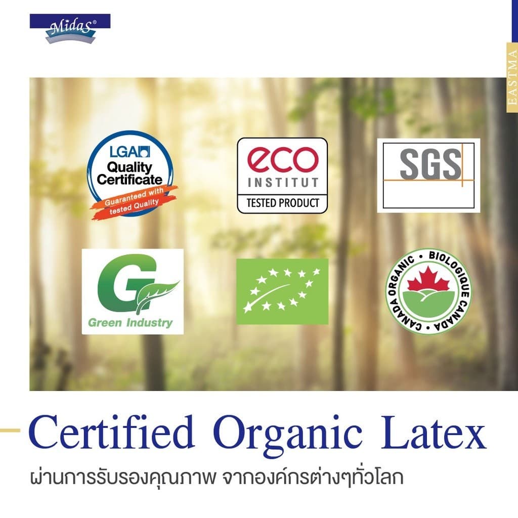 Midas รุ่น Eastma 1000 ที่นอนยางพาราธรรมชาติ 100% Organic Latex แบบ Opened Cell ความหนา 7.5 นิ้ว ให้สัมผัสแน่นสบาย รองรับสรีระและระบายอากาศได้ดีเยี่ยม https://lnwchill.com