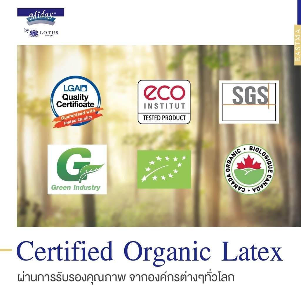 Midas รุ่น Eastma 2000 ที่นอนยางพาราธรรมชาติ 100% Organic Latex หนา 8 นิ้ว โดดเด่นด้วยเทคโนโลยี Opened Cell เพื่อการระบายอากาศที่เหนือกว่า https://lnwchill.com