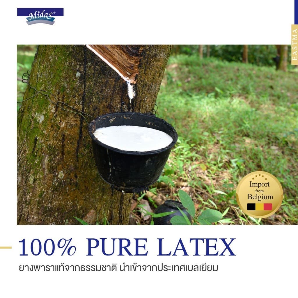 Midas รุ่น Eastma 3000 ที่นอนยางพาราธรรมชาติ 100% Organic Latex โครงสร้าง Opened Cell รองรับสรีระ ลดอาการปวดหลัง https://lnwchill.com