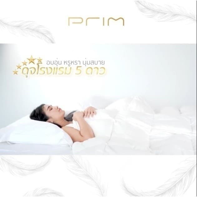 PRIM รุ่น ไส้ผ้านวมขนเป็ดแท้ 100% ขนาด 60x90 นิ้ว และ 100x90 นิ้ว สีขาว มอบความอบอุ่น นุ่มสบาย ป้องกันไรฝุ่น เพื่อการนอนหลับที่เหนือกว่า https://lnwchill.com