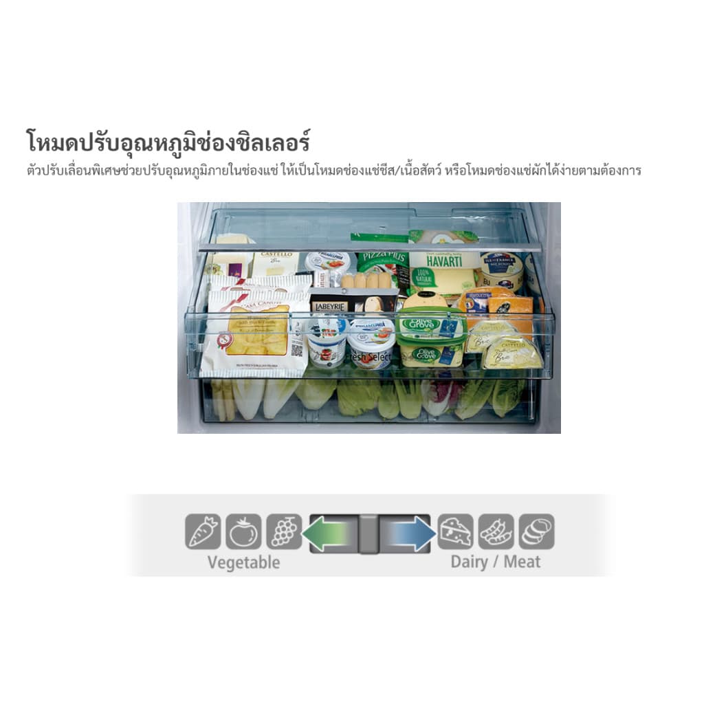 Hitachi ตู้เย็น 2 ประตู รุ่น R-V510PD 510 ลิตร Inverter Dual Fan Cooling สีบริลเลียนท์ ซิลเวอร์ https://lnwchill.com