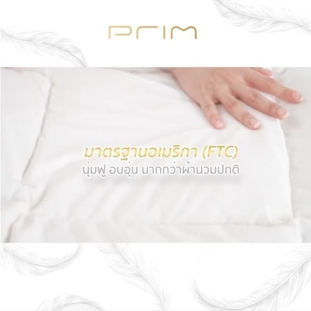 PRIM รุ่น ไส้ผ้านวมขนเป็ดแท้ 100% ขนาด 60x90 นิ้ว และ 100x90 นิ้ว สีขาว มอบความอบอุ่น นุ่มสบาย ป้องกันไรฝุ่น เพื่อการนอนหลับที่เหนือกว่า https://lnwchill.com