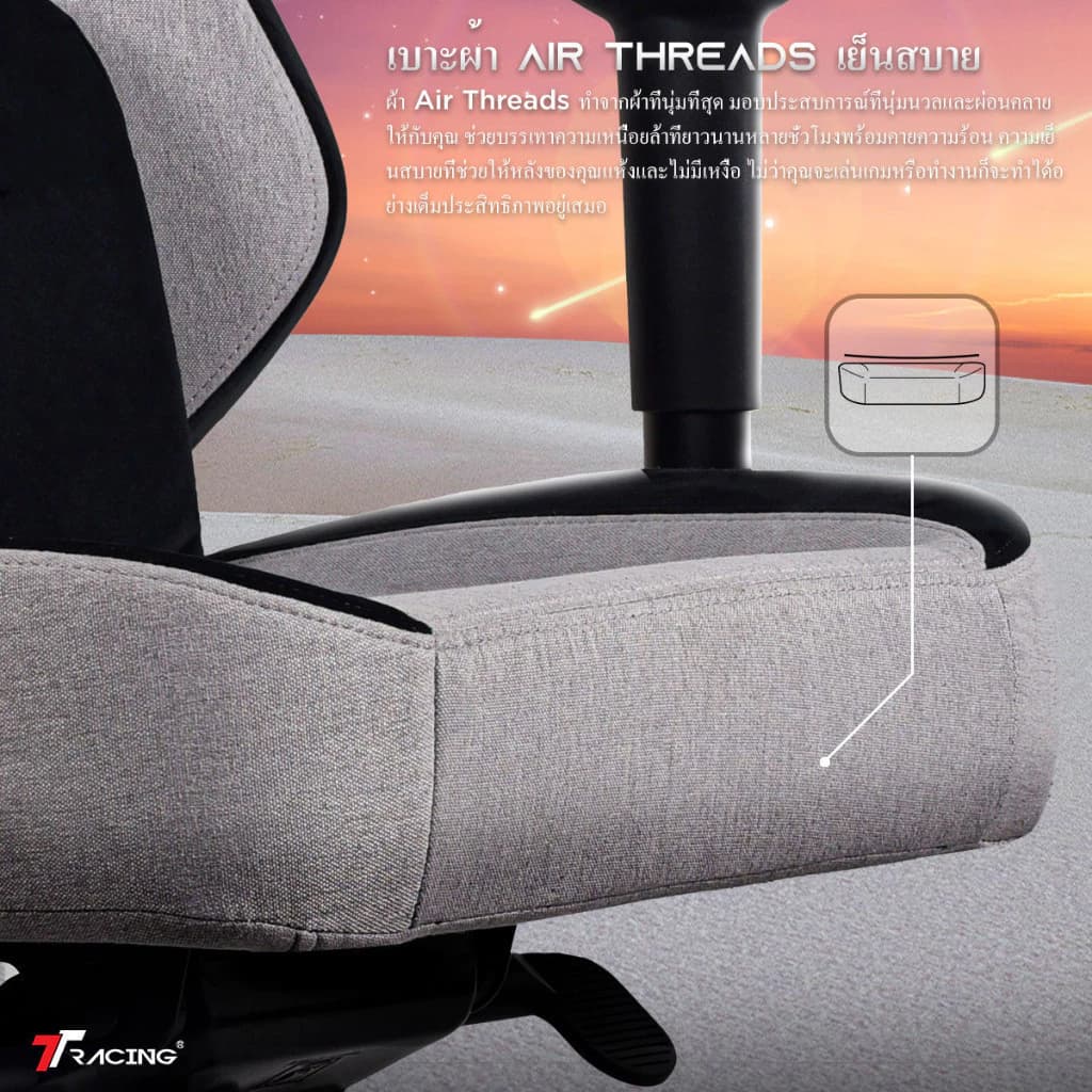 TTRacing Maxx Gaming Chair เก้าอี้เกมมิ่ง เก้าอี้สีเทา สีดำ นั่งสบาย ปรับเอนได้ 155 องศา, หมอนรองคอและเอวเมมโมรี่โฟมกำมะหยี่ https://lnwchill.com