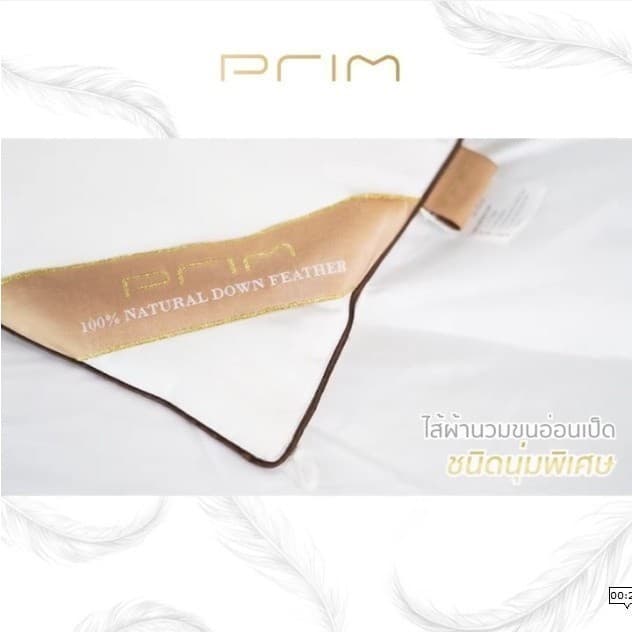 PRIM รุ่น ไส้ผ้านวมขนเป็ดแท้ 100% ขนาด 60x90 นิ้ว และ 100x90 นิ้ว สีขาว มอบความอบอุ่น นุ่มสบาย ป้องกันไรฝุ่น เพื่อการนอนหลับที่เหนือกว่า https://lnwchill.com