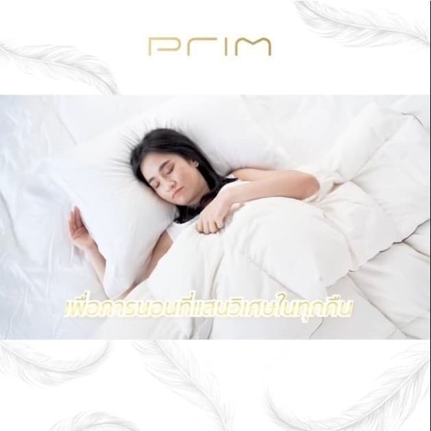 PRIM รุ่น ไส้ผ้านวมขนเป็ดแท้ 100% ขนาด 60x90 นิ้ว และ 100x90 นิ้ว สีขาว มอบความอบอุ่น นุ่มสบาย ป้องกันไรฝุ่น เพื่อการนอนหลับที่เหนือกว่า https://lnwchill.com
