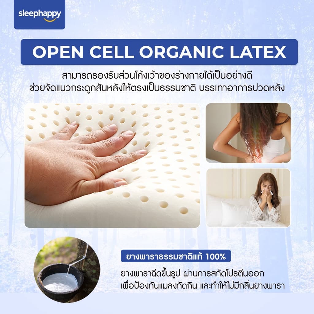 SleepHappy รุ่น Element ที่นอนยางพาราแท้ 100% หนา 9 นิ้ว ที่นอนเพื่อสุขภาพช่วยลดอาการปวดหลัง มีให้เลือกขนาด 3.5, 5, และ 6 ฟุต https://lnwchill.com