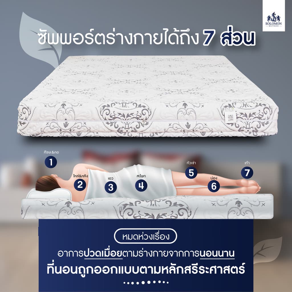 SOLOMON รุ่น Seven Zone ที่นอนยางพาราแท้ 100% หนา 6 นิ้ว รองรับสรีระ 7 ส่วน https://lnwchill.com